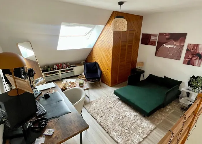 T3 Centre 5mn Du Tramway 公寓 *