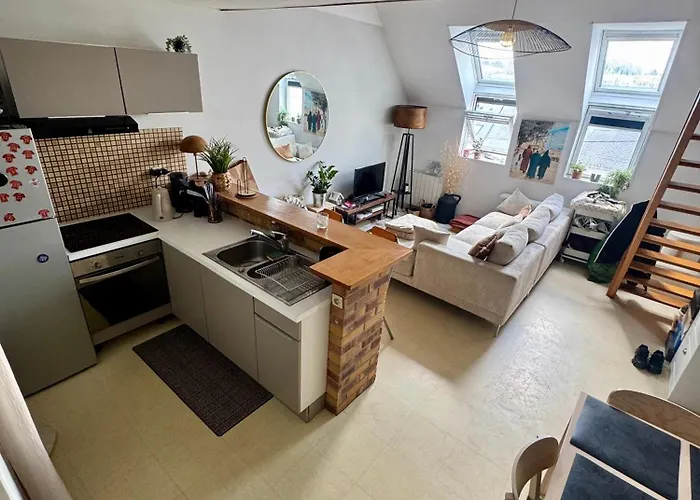 T3 Centre 5mn Du Tramway